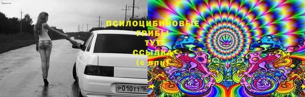 2c-b Алексеевка
