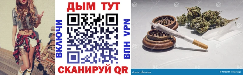 Бошки марихуана план  магазин  наркотиков  Салаир 